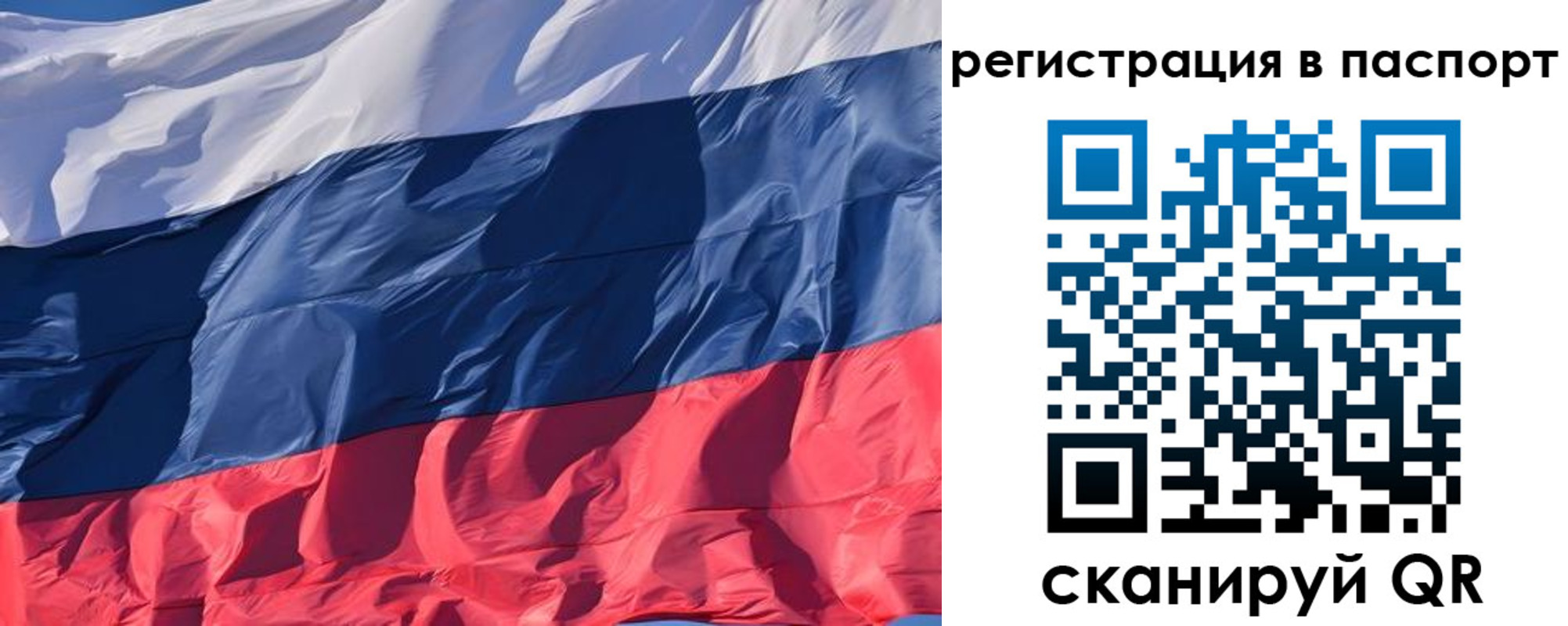 где прописаться в Сафоново